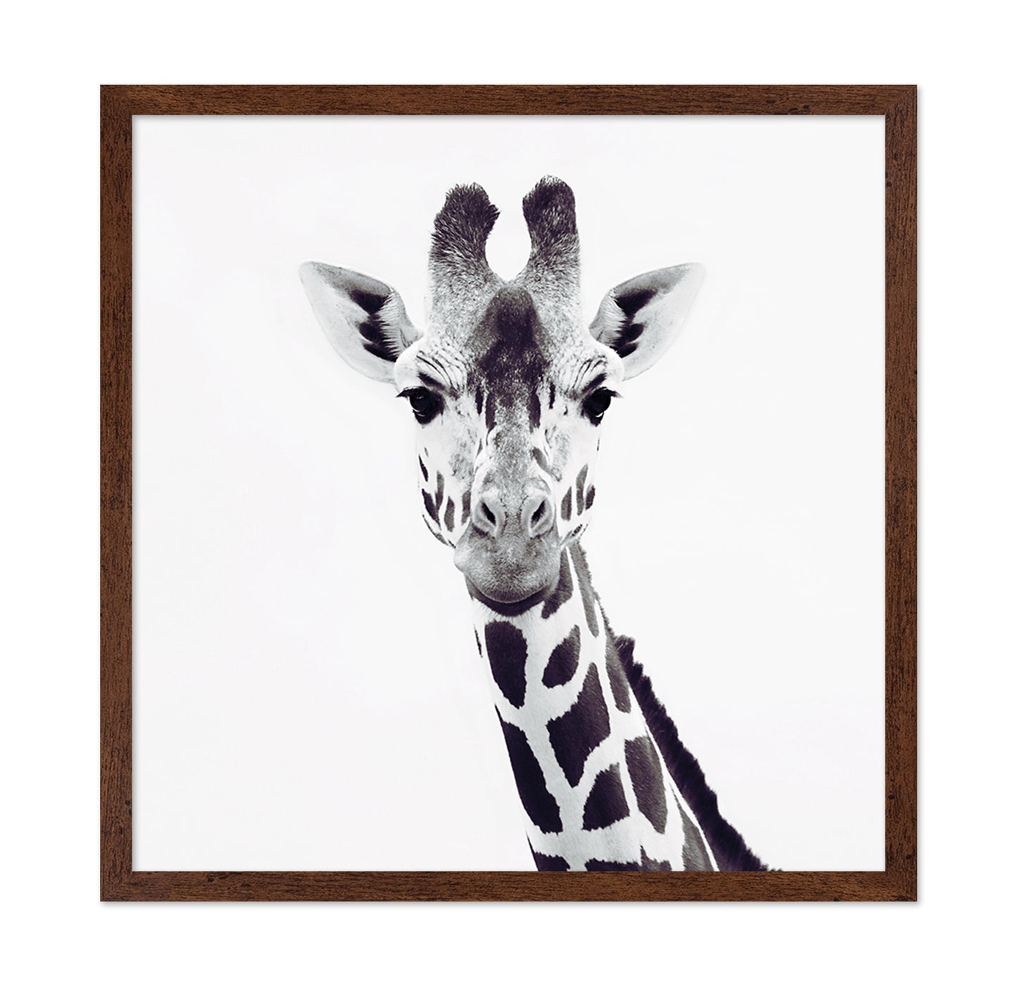 Minimal Giraffe Portrait No1