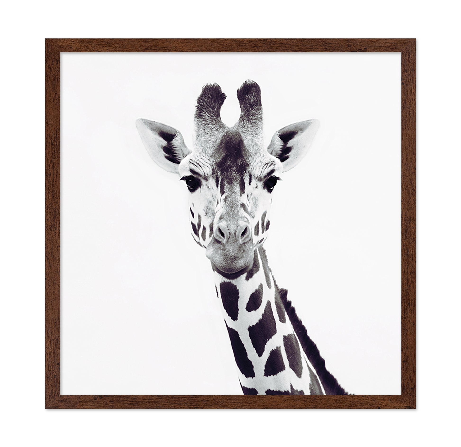 Minimal Giraffe Portrait No1