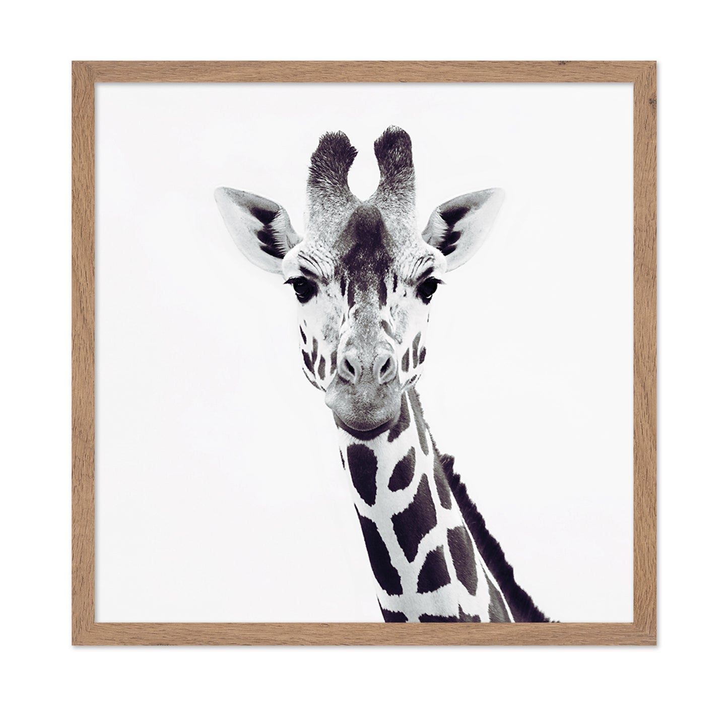 Minimal Giraffe Portrait No1