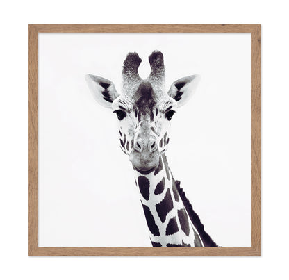 Minimal Giraffe Portrait No1