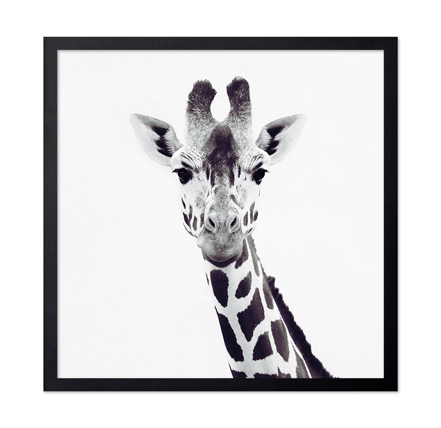 Minimal Giraffe Portrait No1