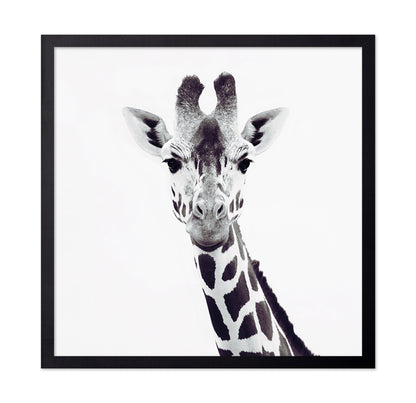 Minimal Giraffe Portrait No1