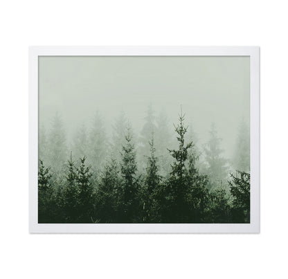 Misty Pine Forest No2