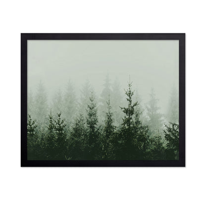 Misty Pine Forest No2