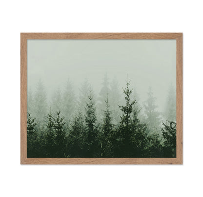 Misty Pine Forest No2