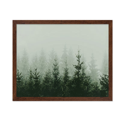 Misty Pine Forest No2
