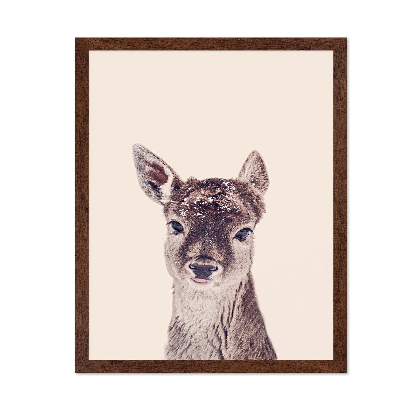 Baby Deer Portrait No1