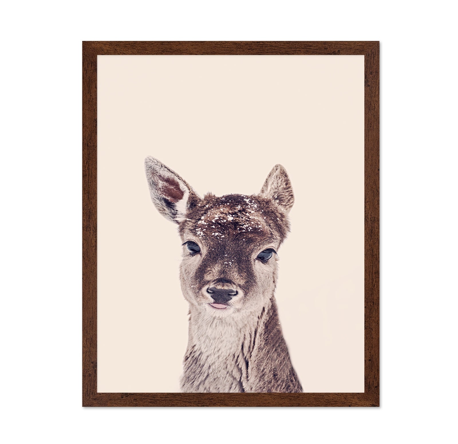 Baby Deer Portrait No1