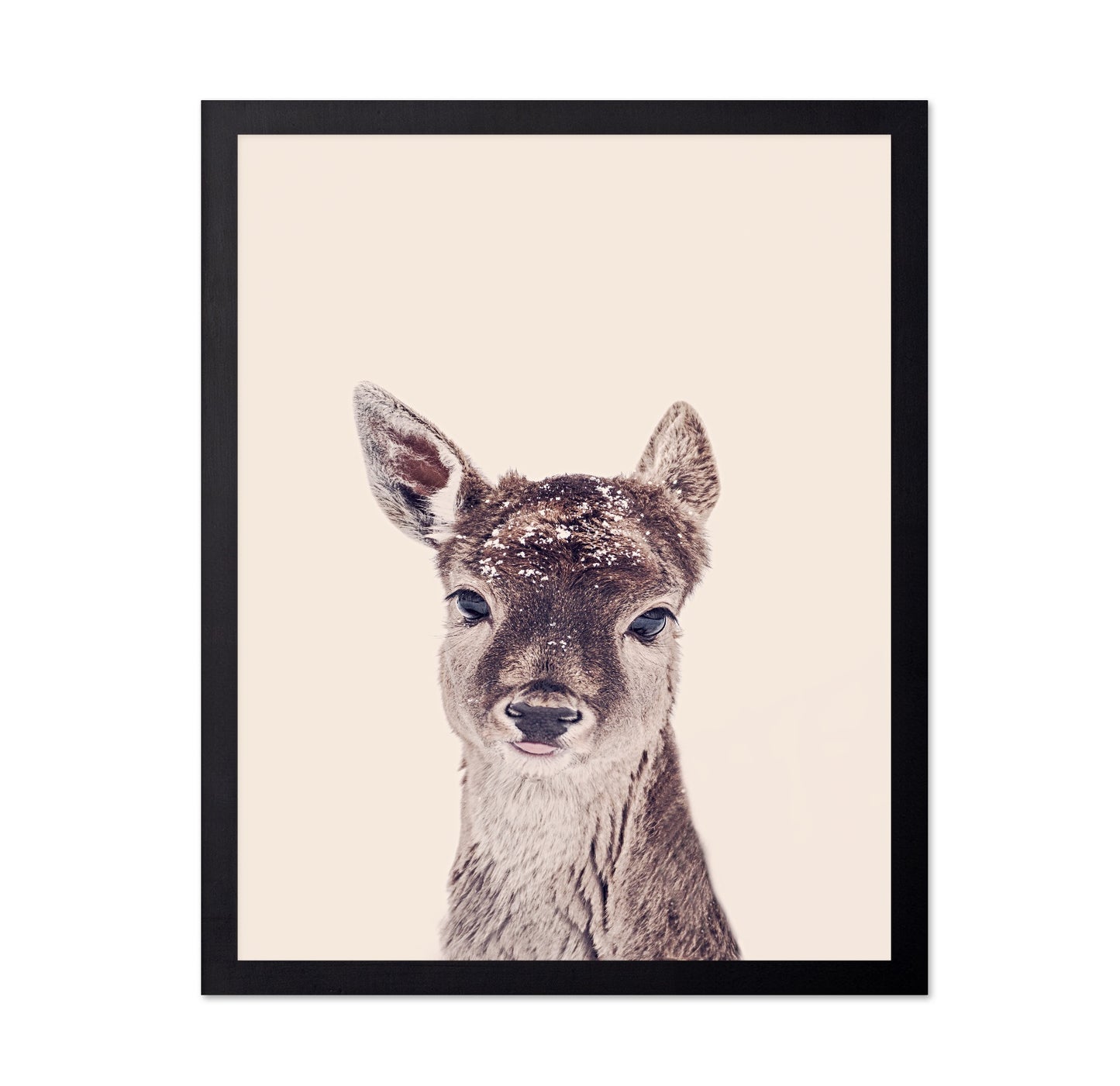 Baby Deer Portrait No1