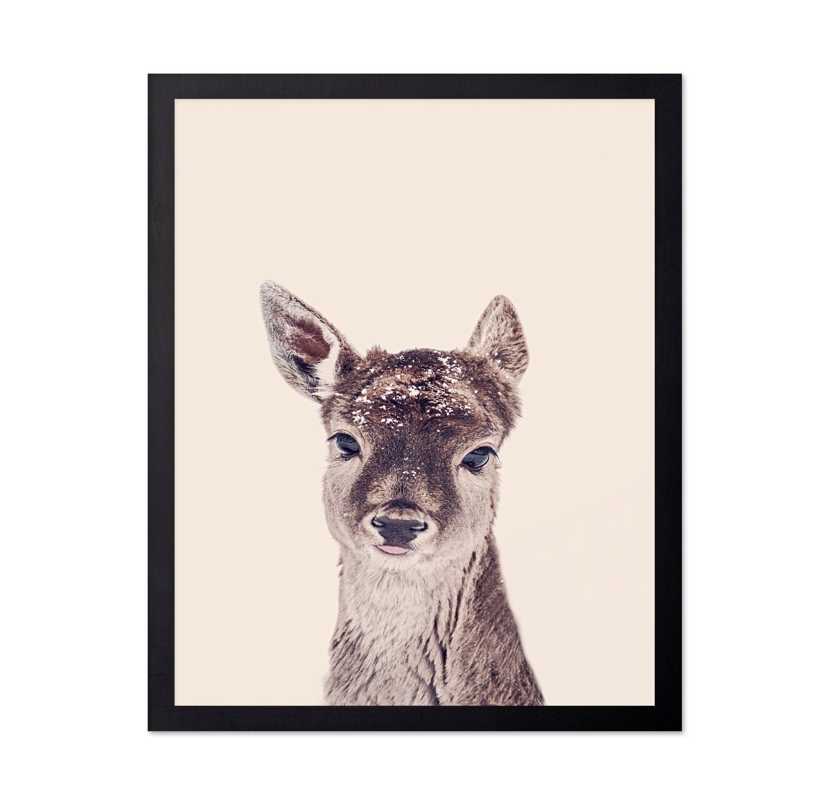 Baby Deer Portrait No1