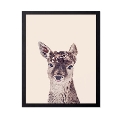 Baby Deer Portrait No1