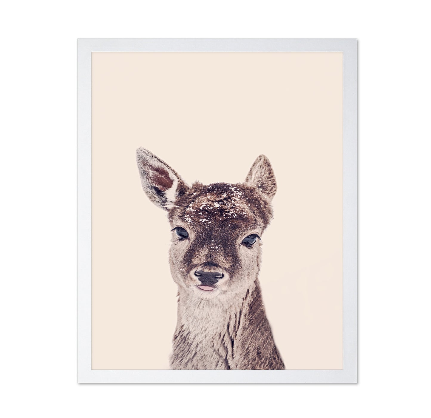Baby Deer Portrait No1