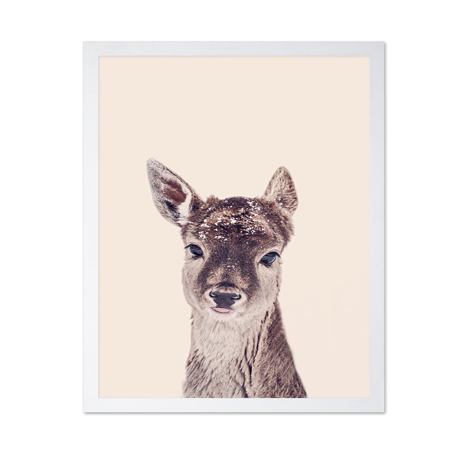 Baby Deer Portrait No1