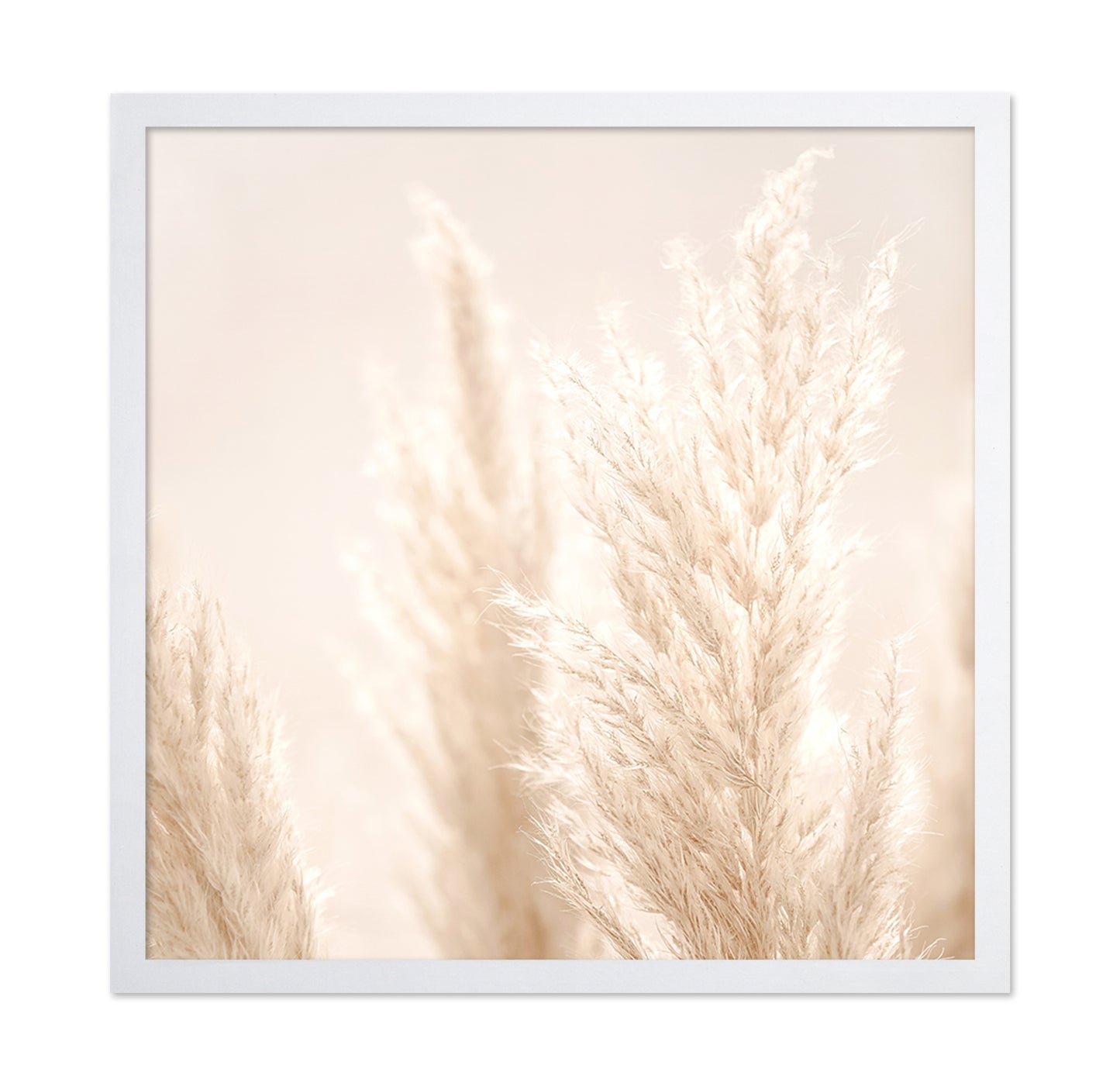 Pampas Grass Beige