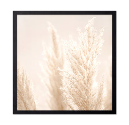 Pampas Grass Beige