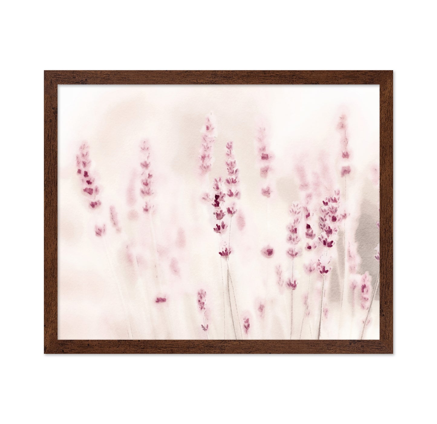 Soft Lavender Field