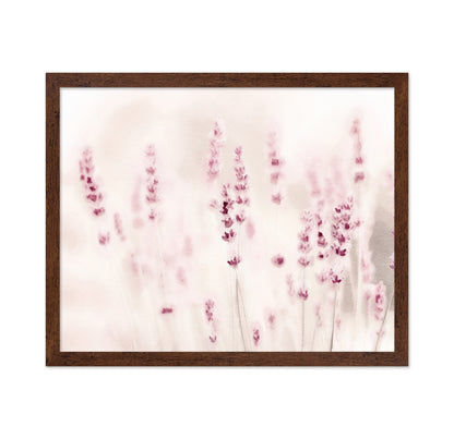 Soft Lavender Field