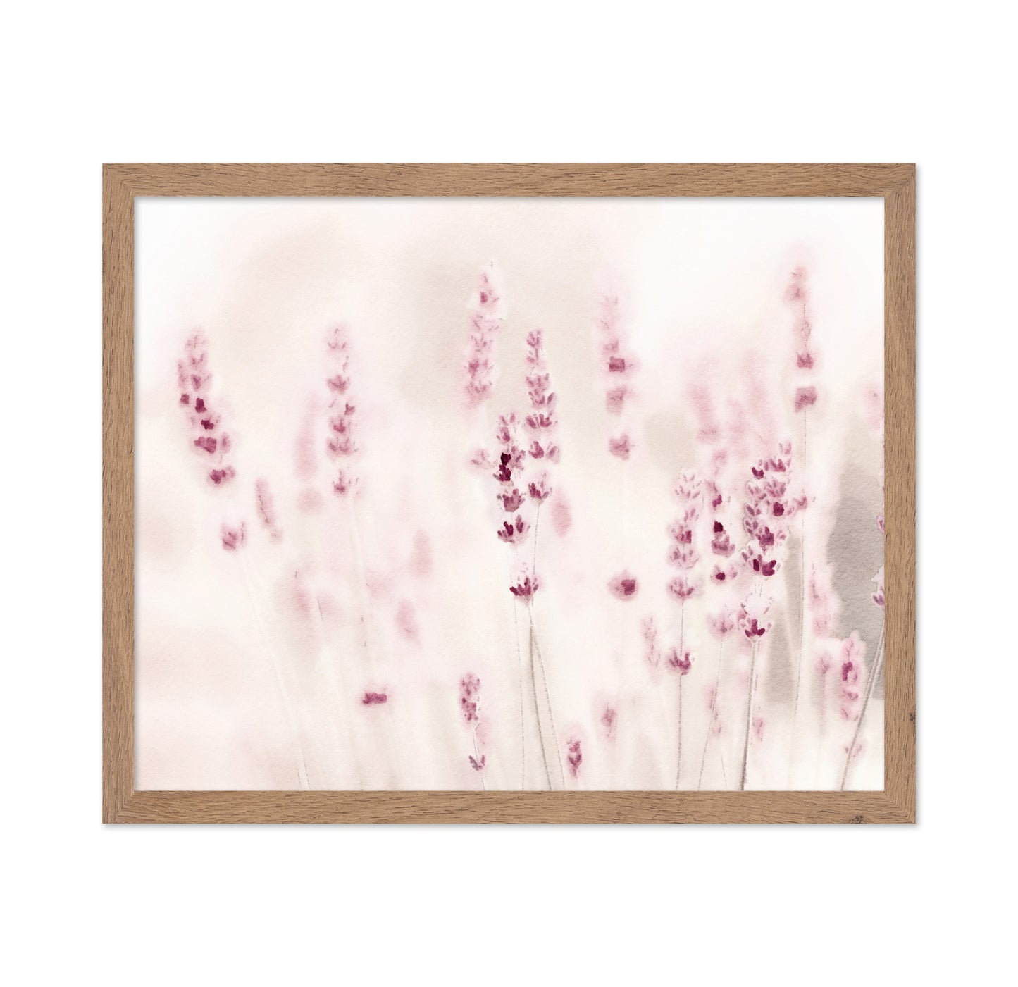 Soft Lavender Field