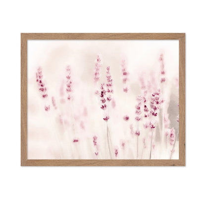 Soft Lavender Field