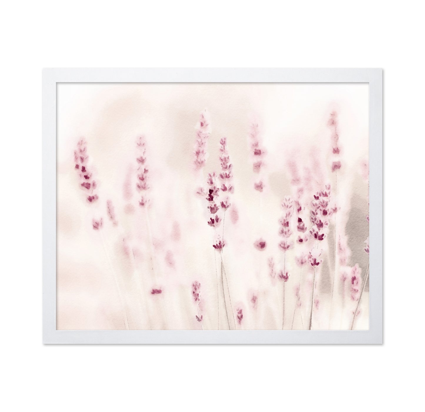 Soft Lavender Field