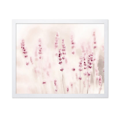 Soft Lavender Field
