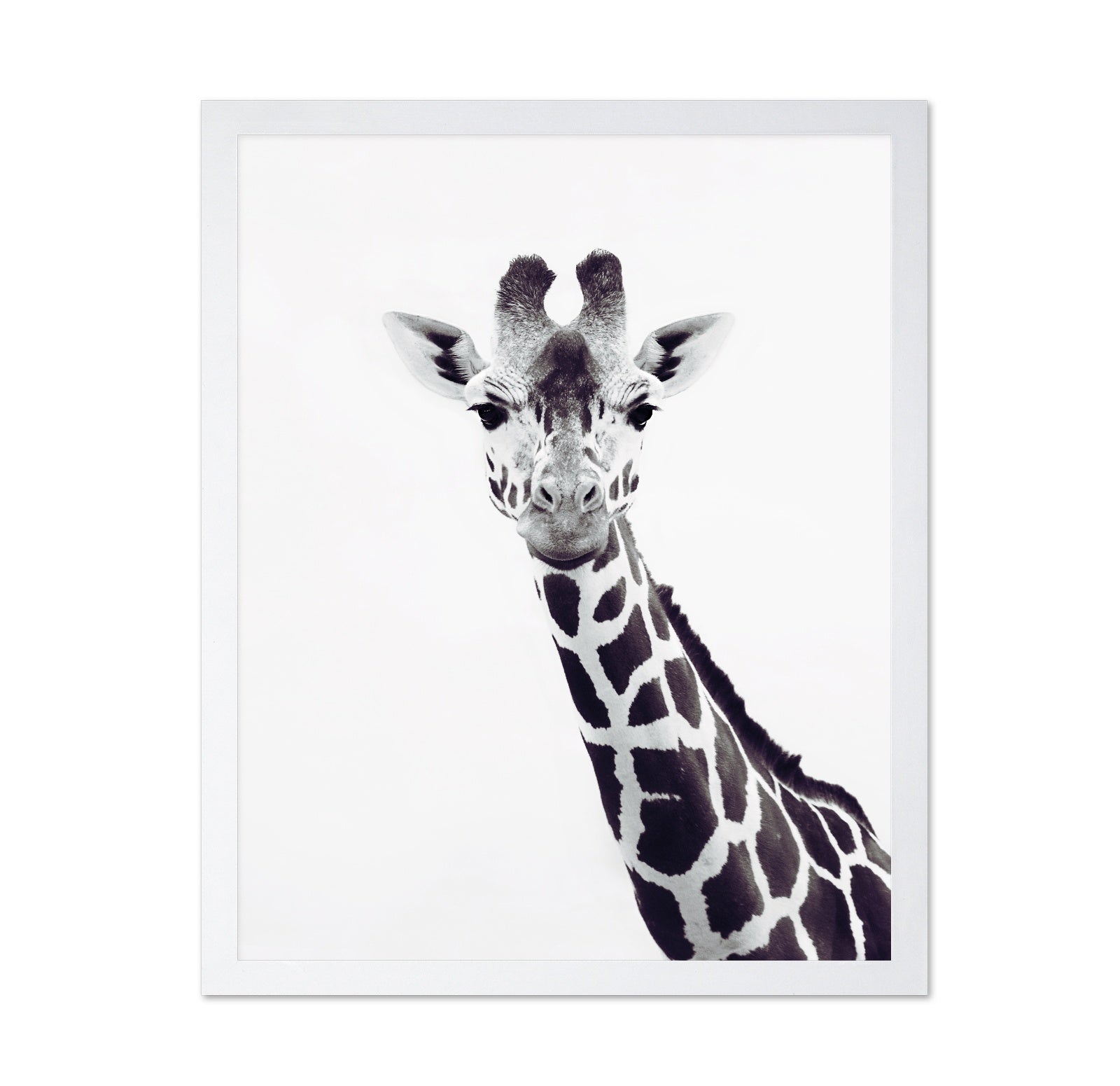 Minimal Giraffe Portrait No2