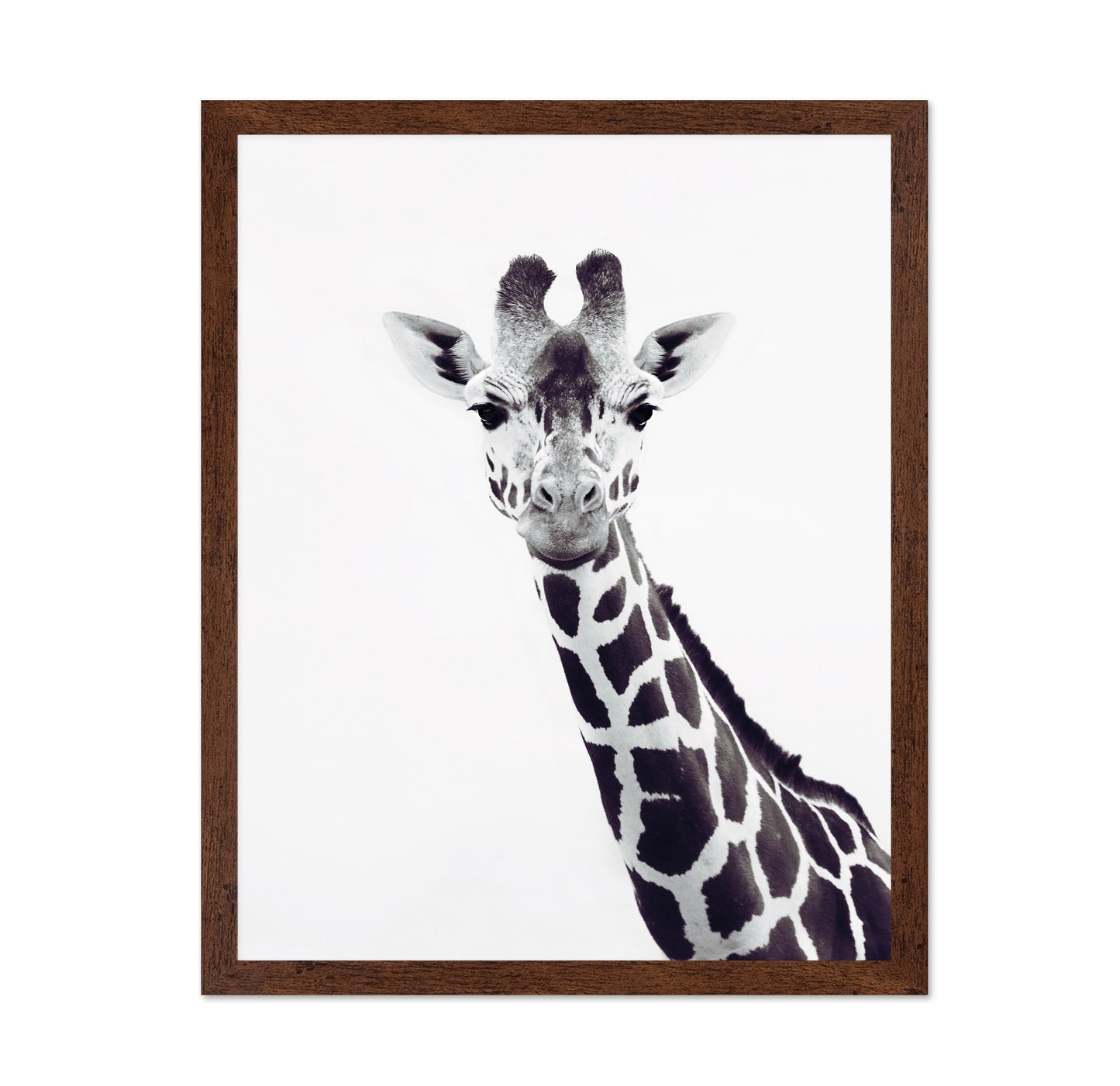 Minimal Giraffe Portrait No2