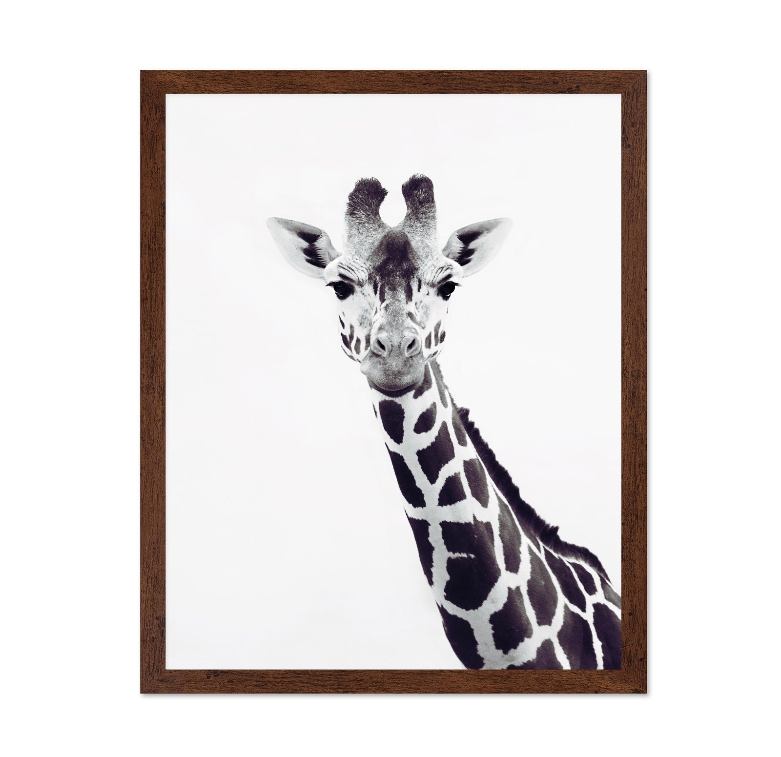 Minimal Giraffe Portrait No2