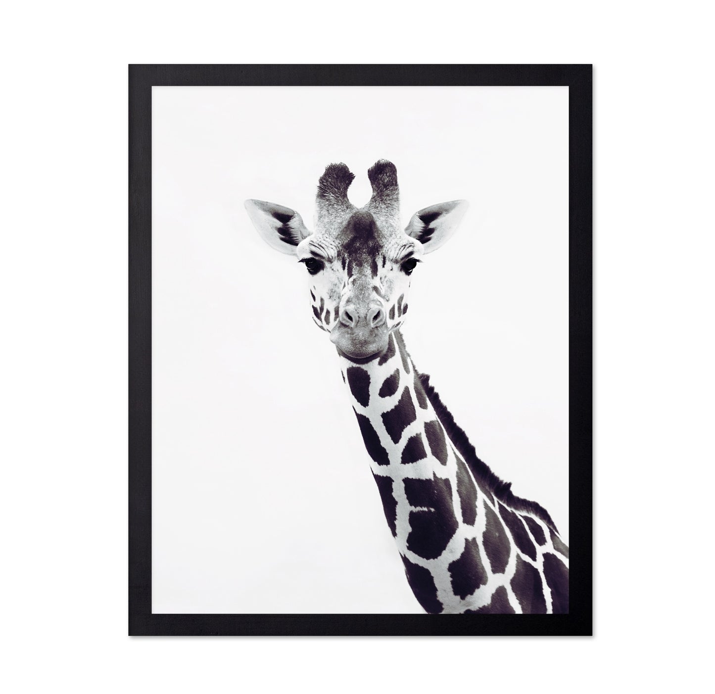 Minimal Giraffe Portrait No2