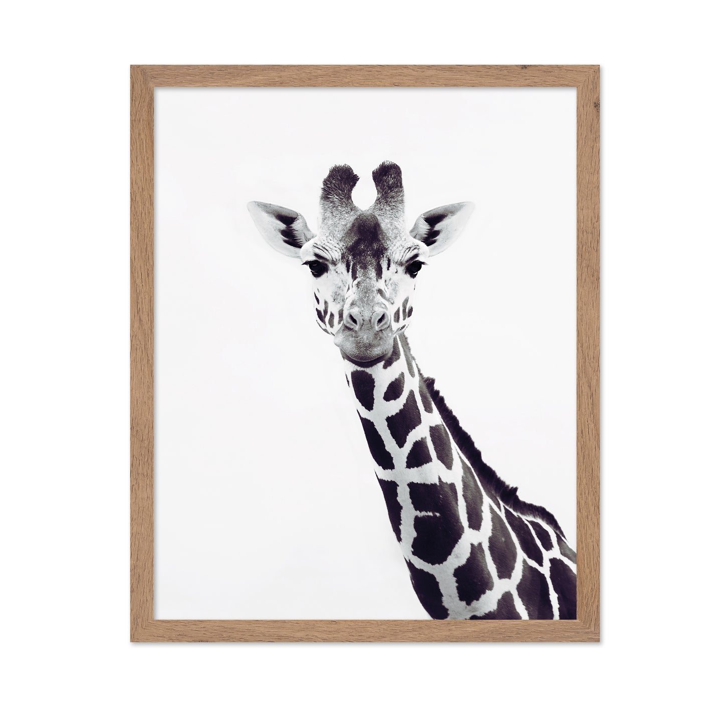 Minimal Giraffe Portrait No2