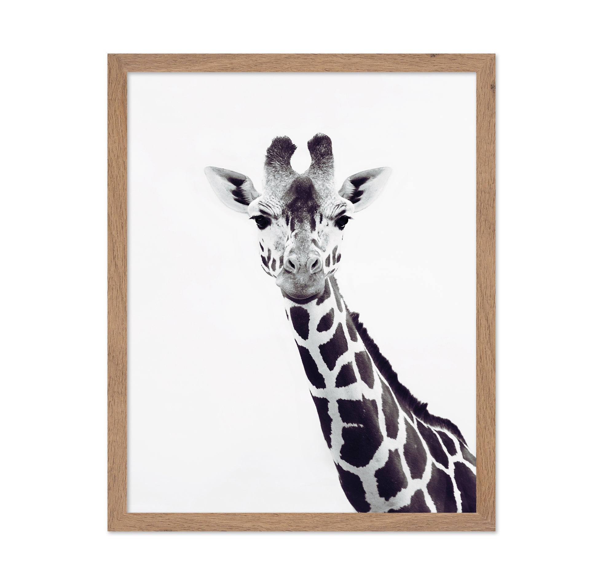 Minimal Giraffe Portrait No2