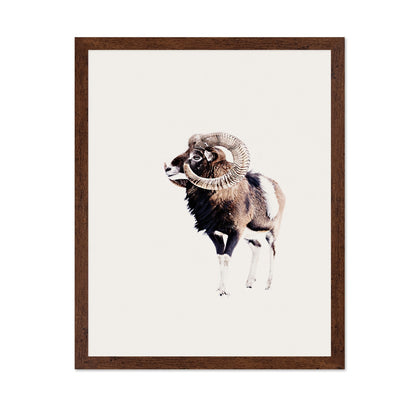 Spiral Horn Ram