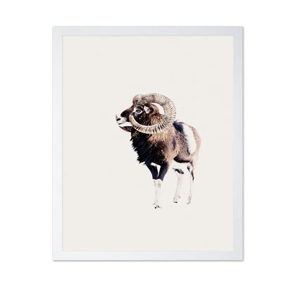 Spiral Horn Ram