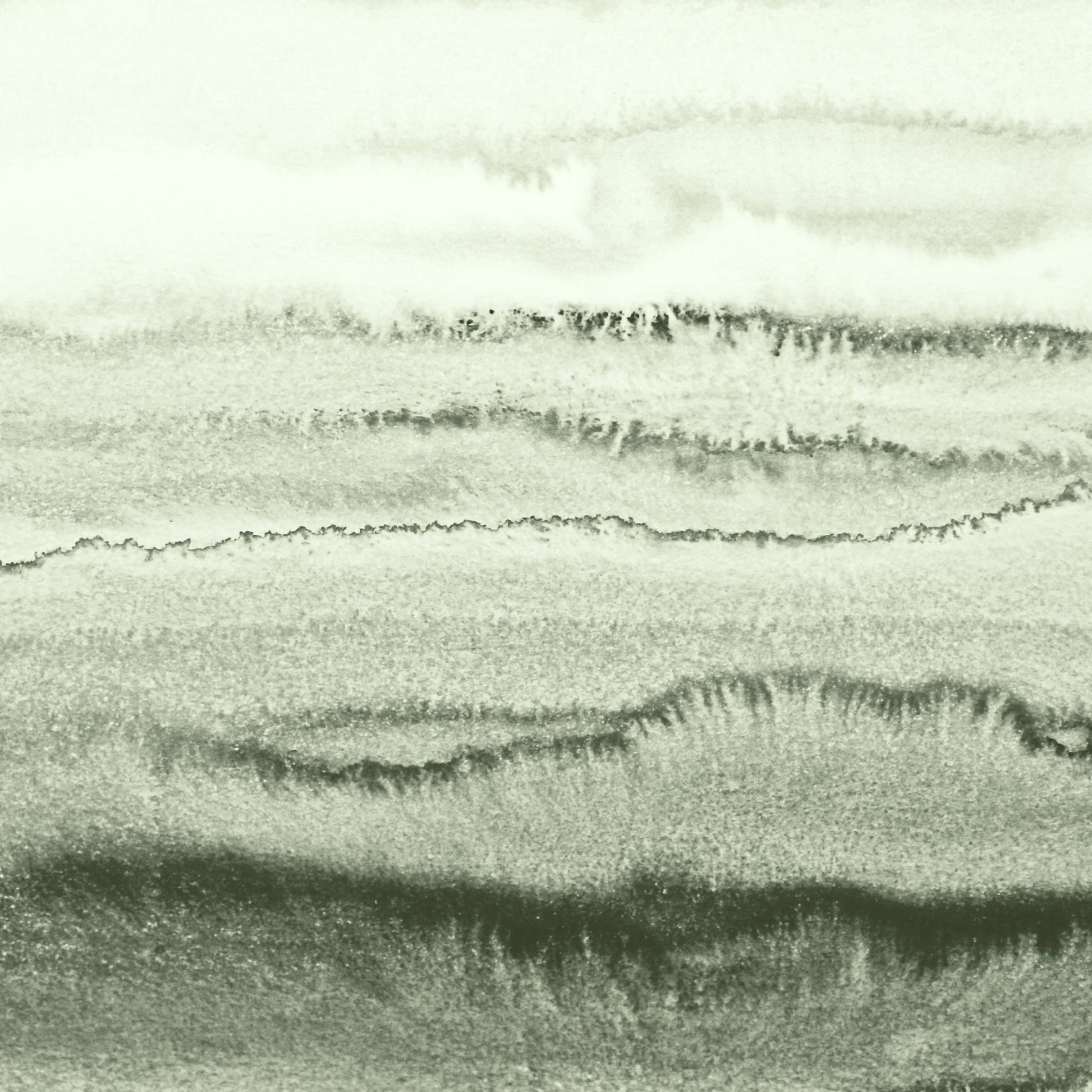 Sage Tides