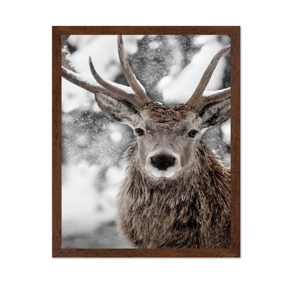 Snowy Stag
