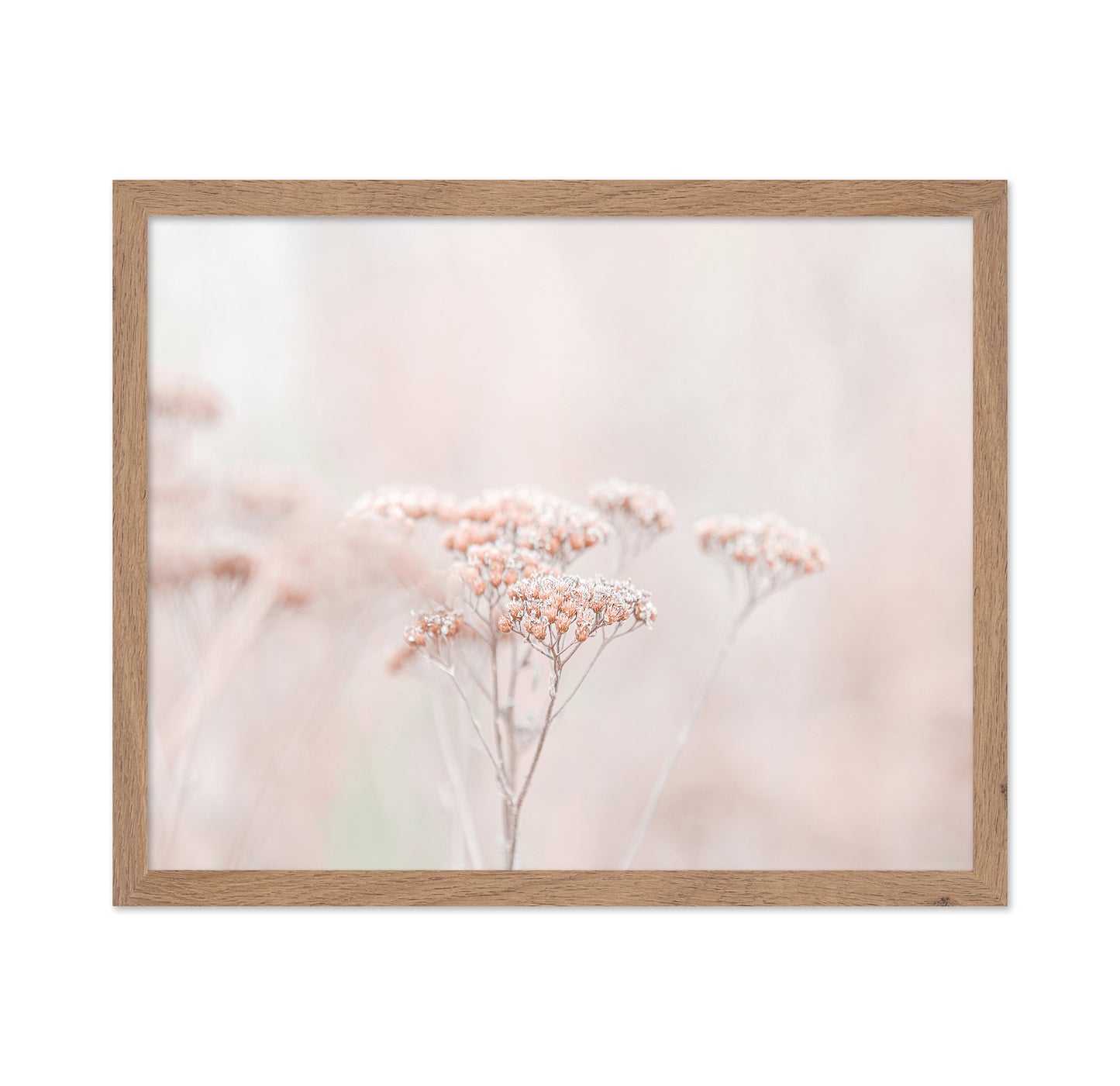 Soft Wildflower Haze