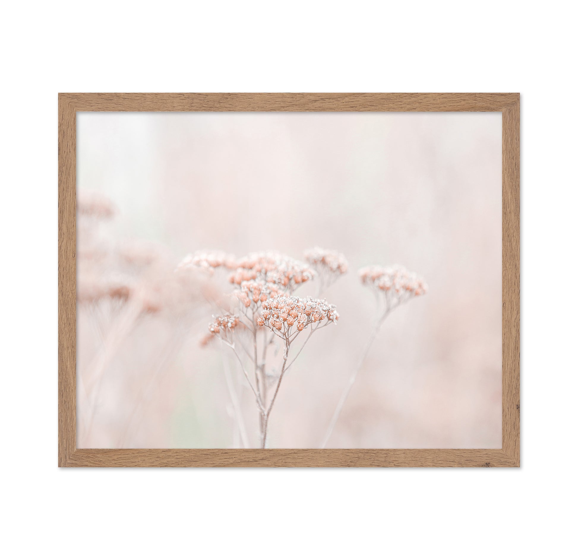 Soft Wildflower Haze
