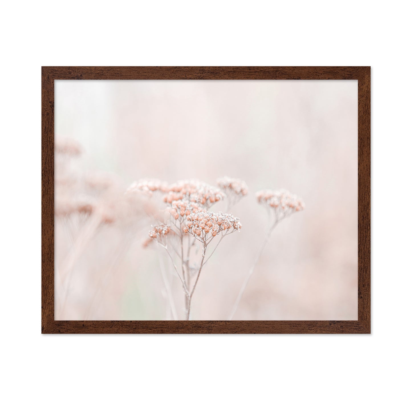 Soft Wildflower Haze
