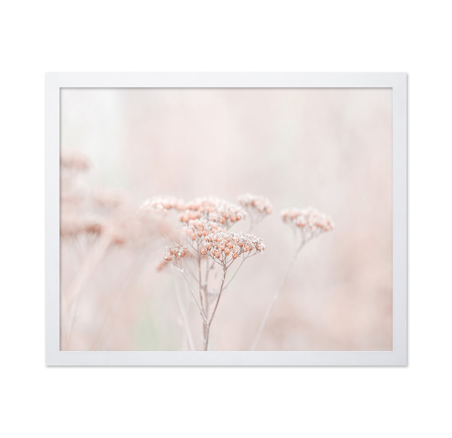 Soft Wildflower Haze