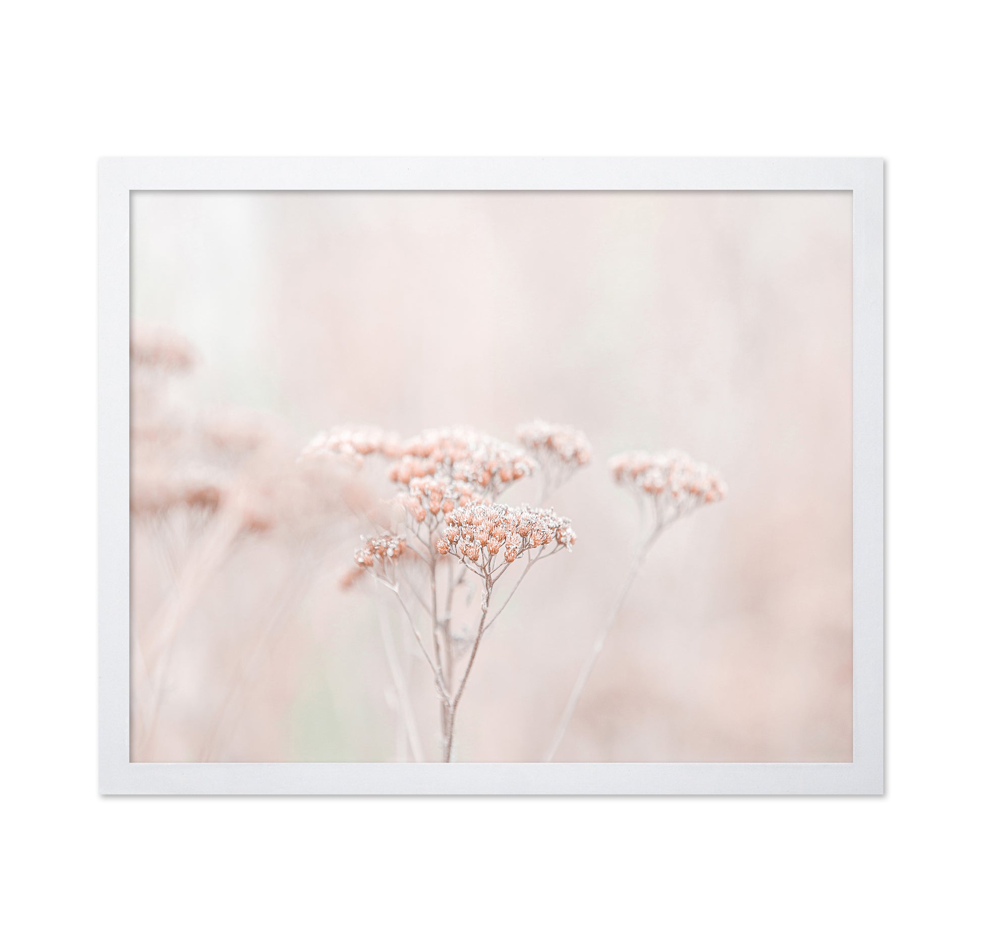 Soft Wildflower Haze