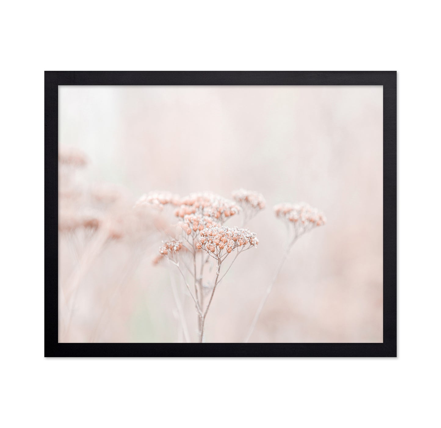 Soft Wildflower Haze