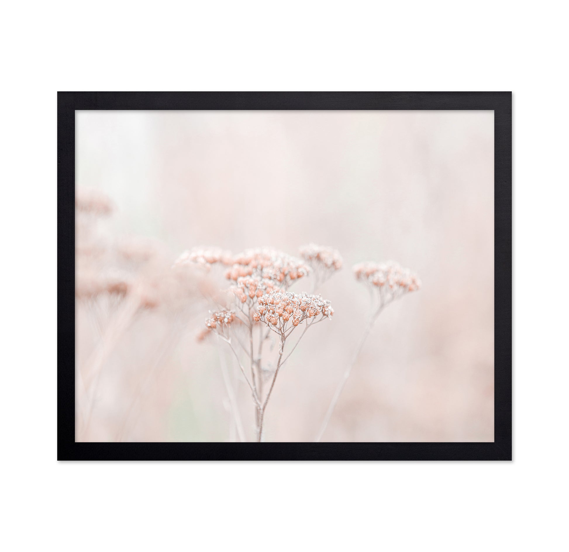 Soft Wildflower Haze