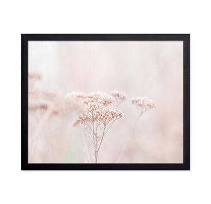 Soft Wildflower Haze