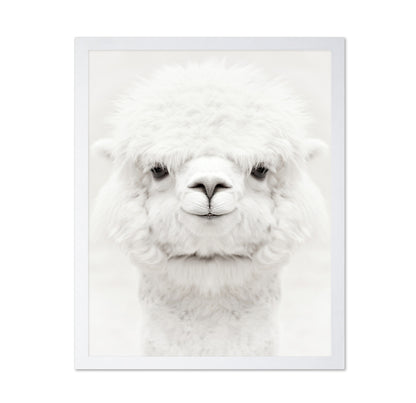 Smiling Alpaca