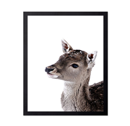 Little Fawn