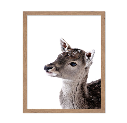 Little Fawn
