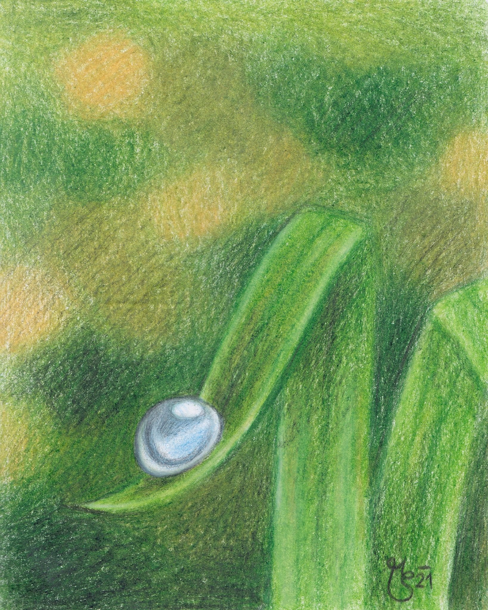 Dewdrop Whisper