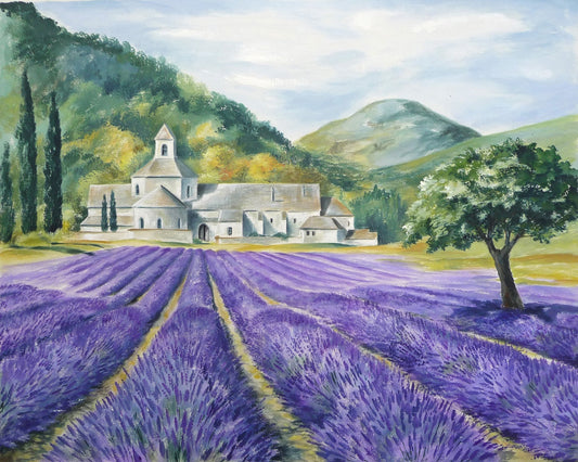 Lavender Field