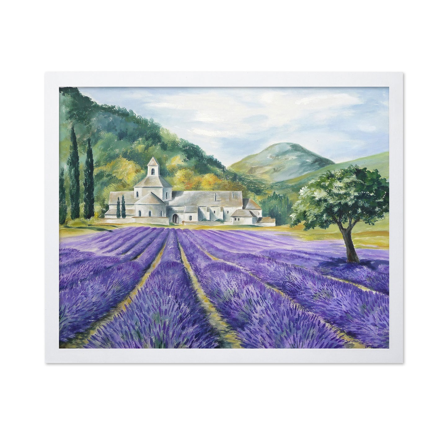Lavender Field