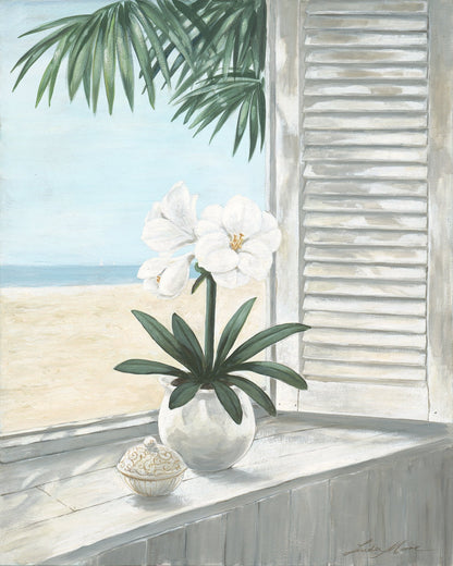 Coastal Orchid